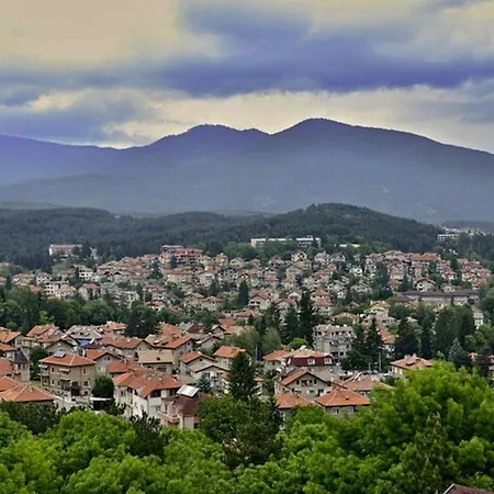 Olympic With Free Parking 3* Welingrad