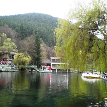 Olympic With Free Parking Gasthof
