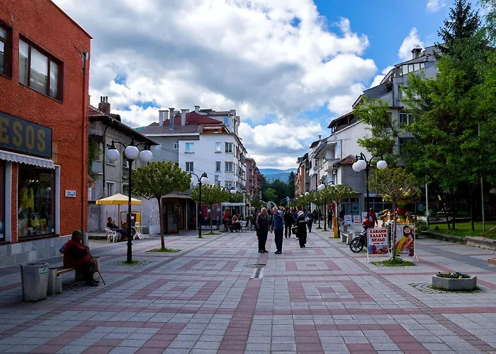 Olympic With Free Parking Guest house Velingrad